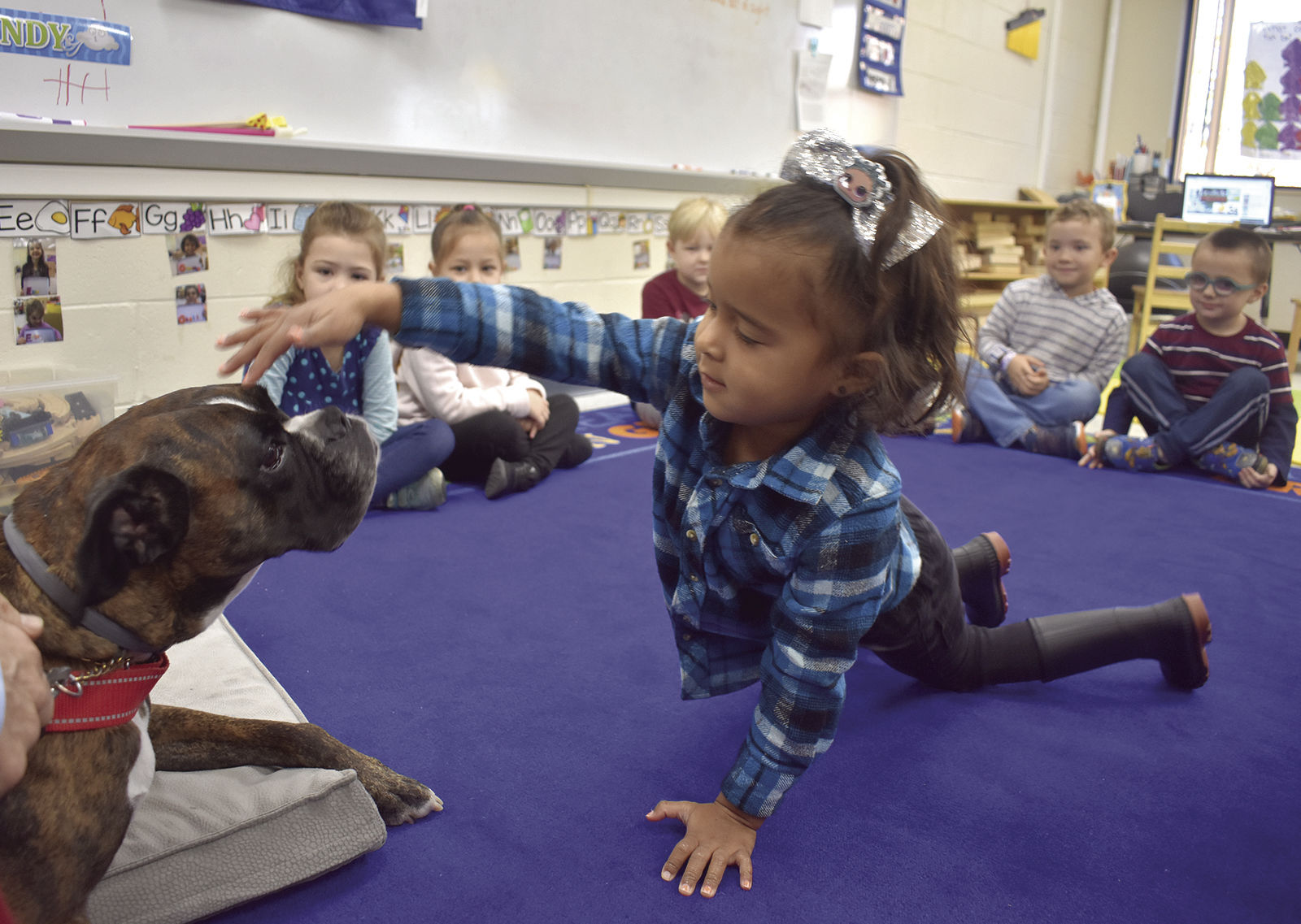 Therapy dog a game-changer at Pleasant Street School